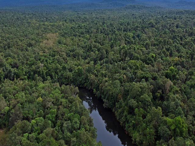 Botum Sakor National Park