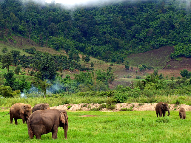 Lumphat Wildlife Sanctuary